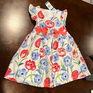 First Impressions dress, floral, beautiful color , 2 pices , button on the back